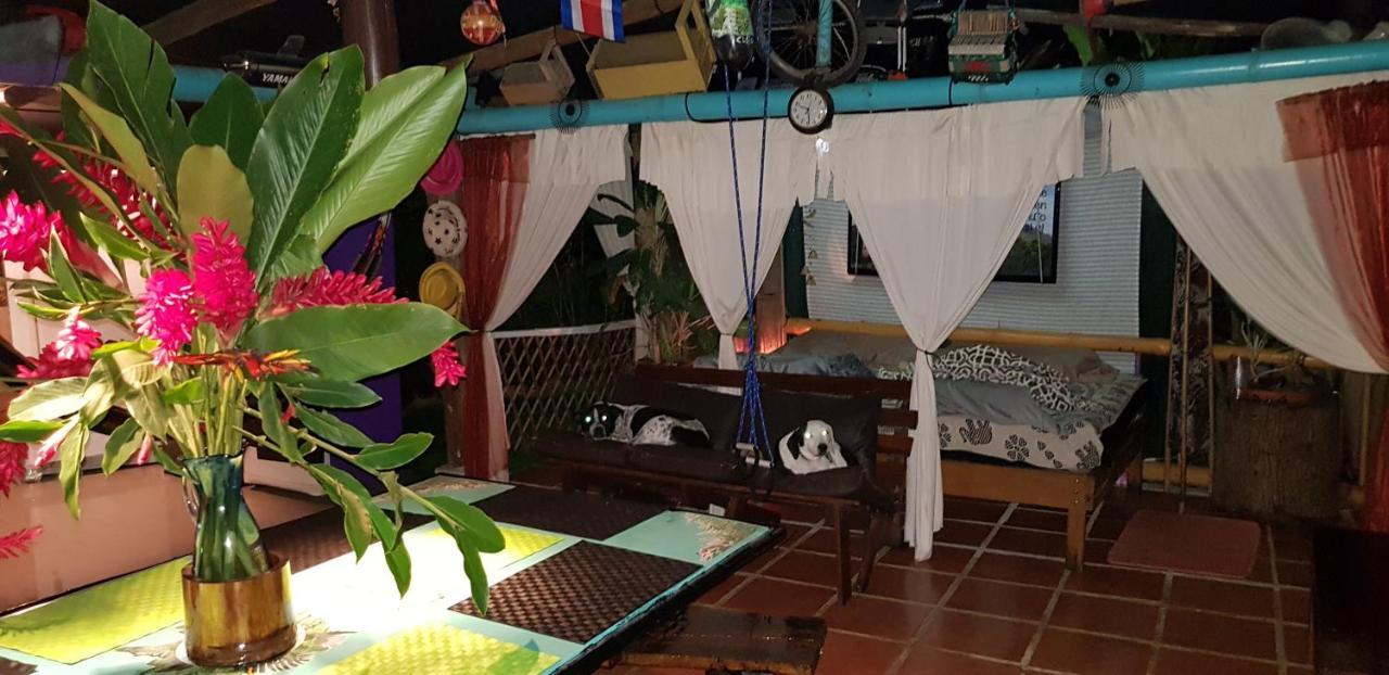 Jarabacoa Family Hostel Los Angeles  Kültér fotó
